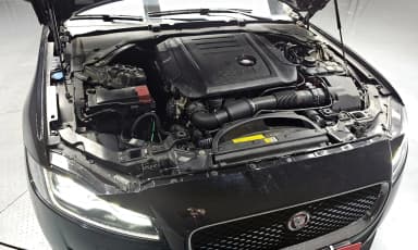 XF (x260)