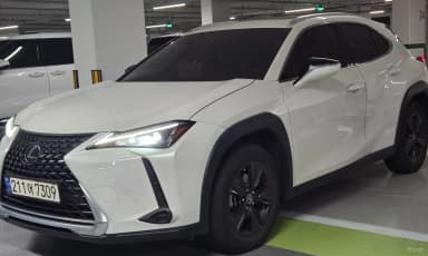 UX250h