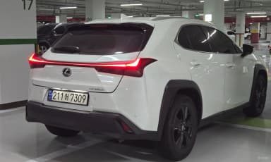 UX250h