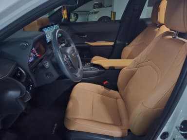 UX250h