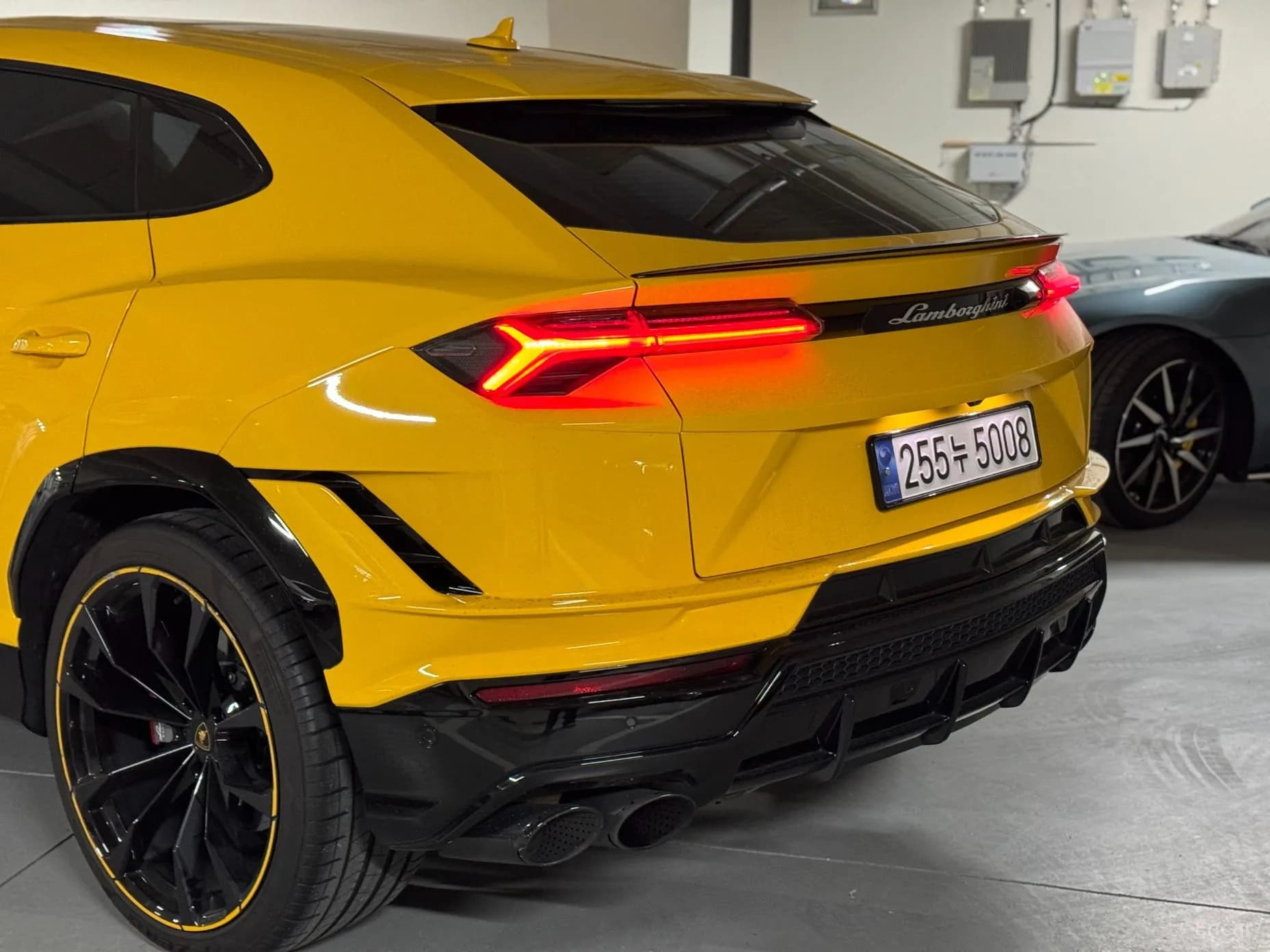 Urus