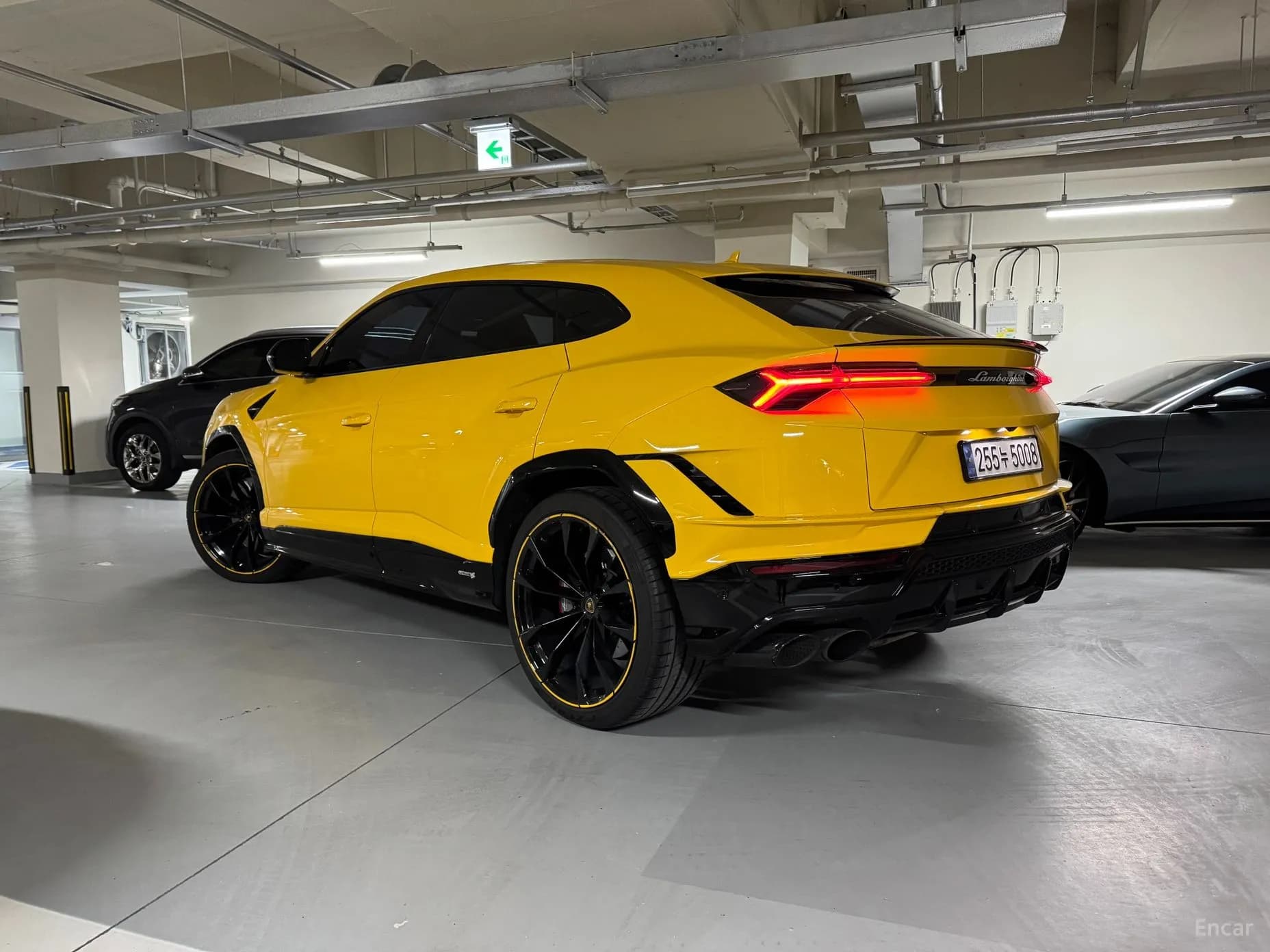 Urus