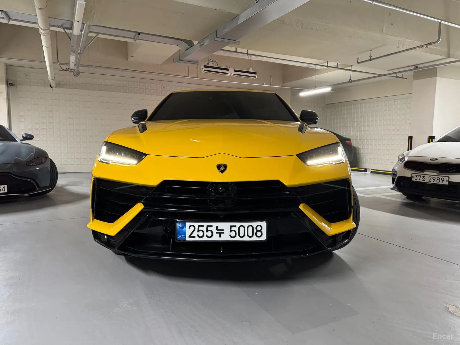 Urus