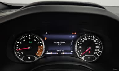 Renegade