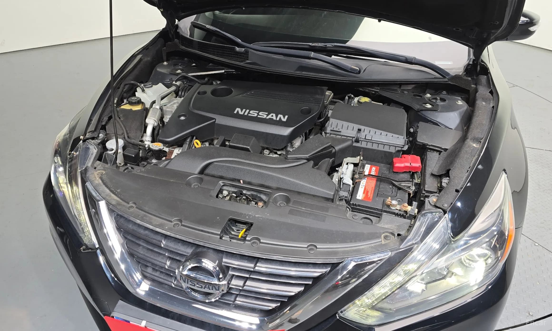 Altima