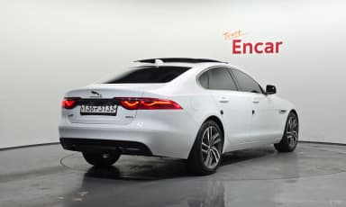 XF (x260)