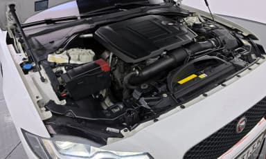 XF (x260)