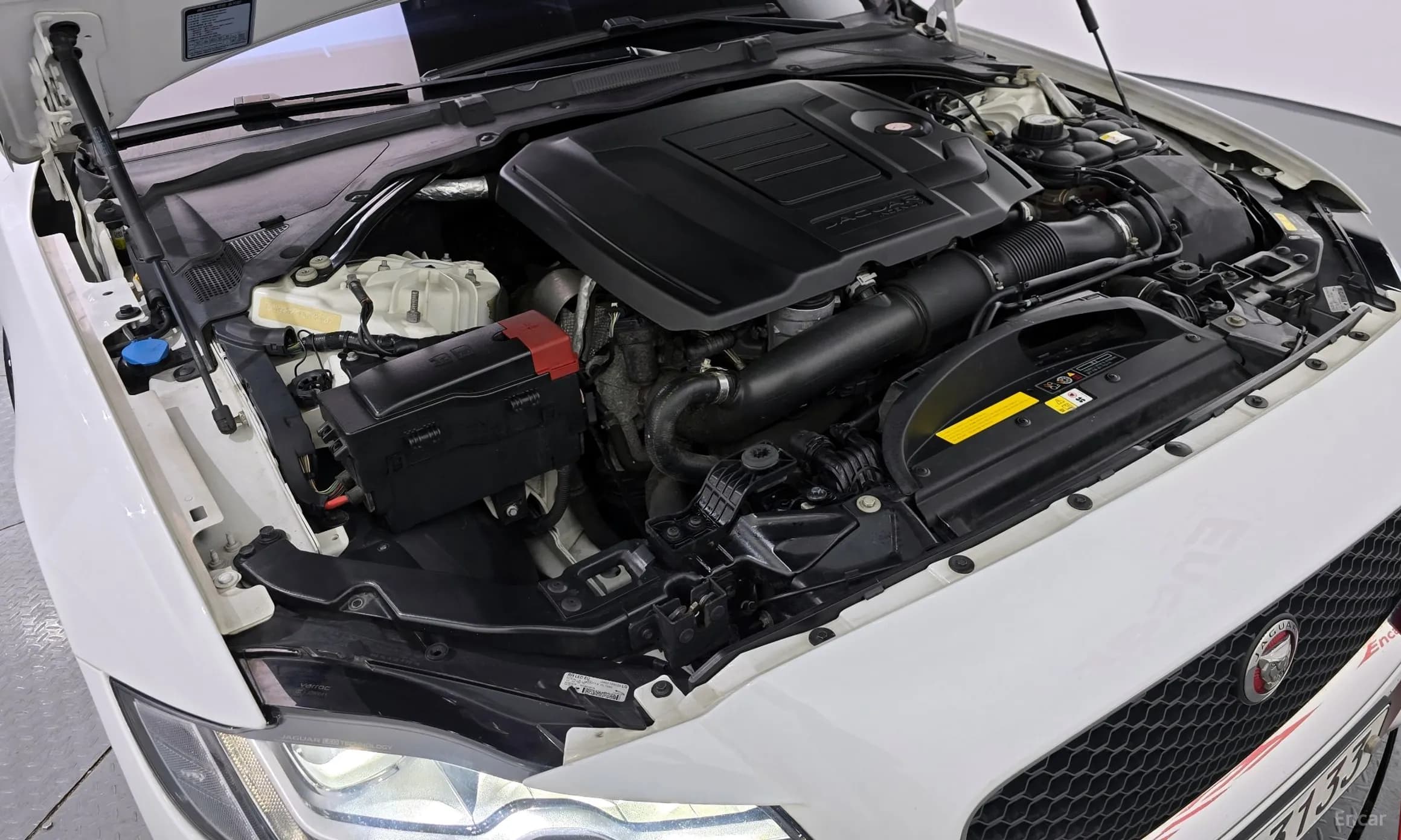 XF (x260)