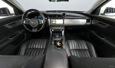 XF (x260)