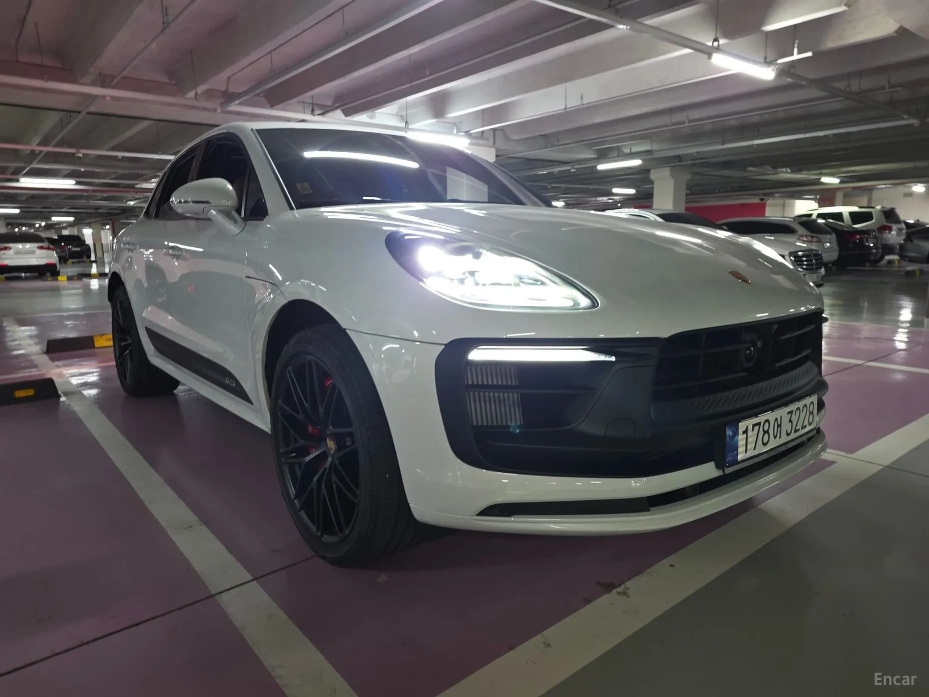 Macan