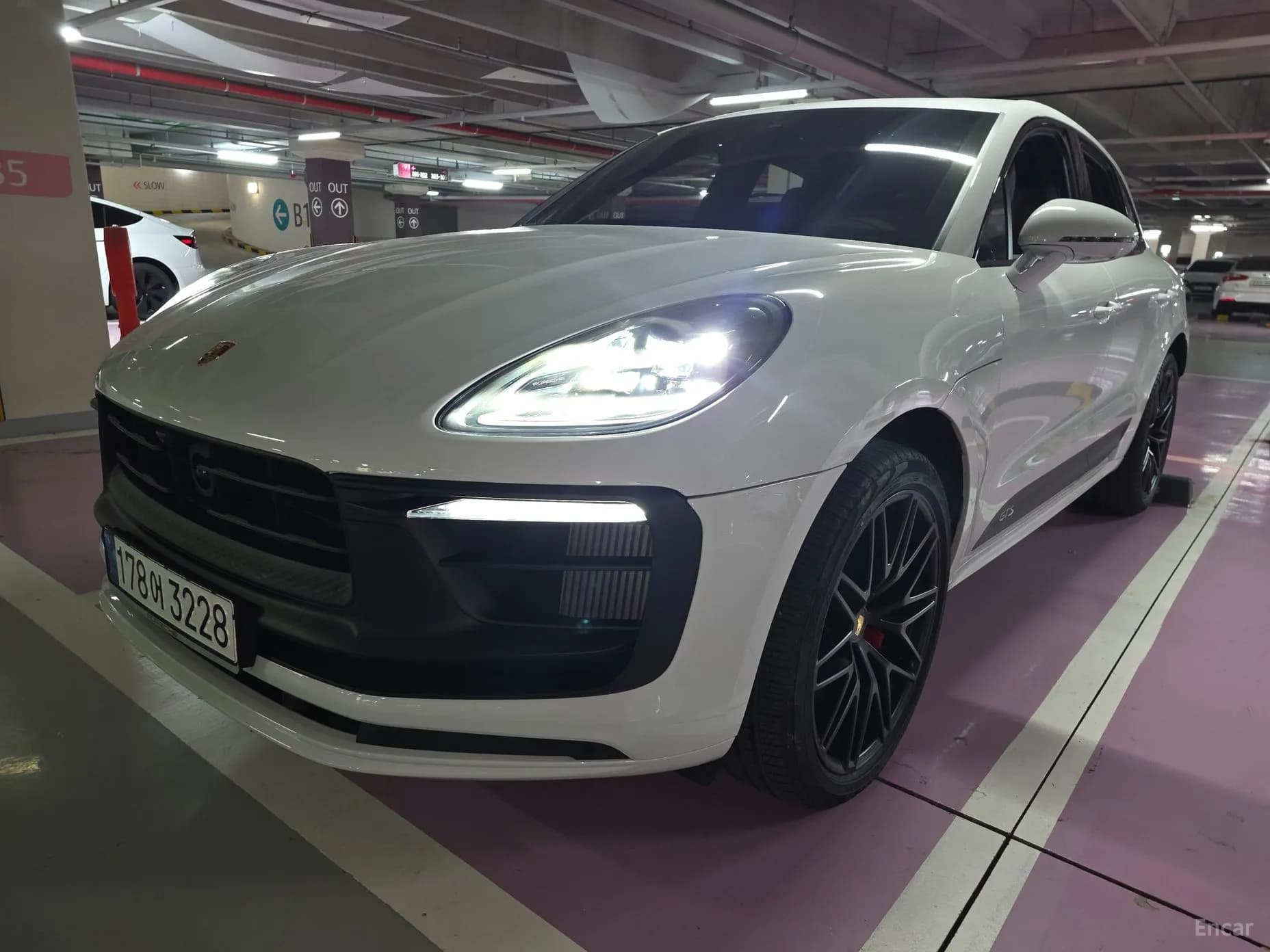 Macan
