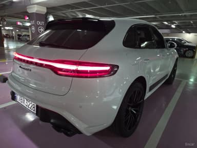 Macan
