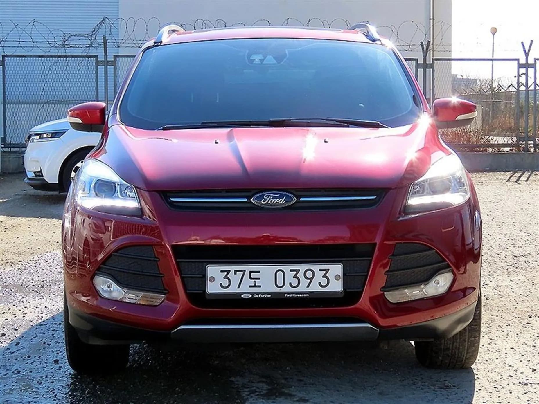 Cougar 2nd Generation