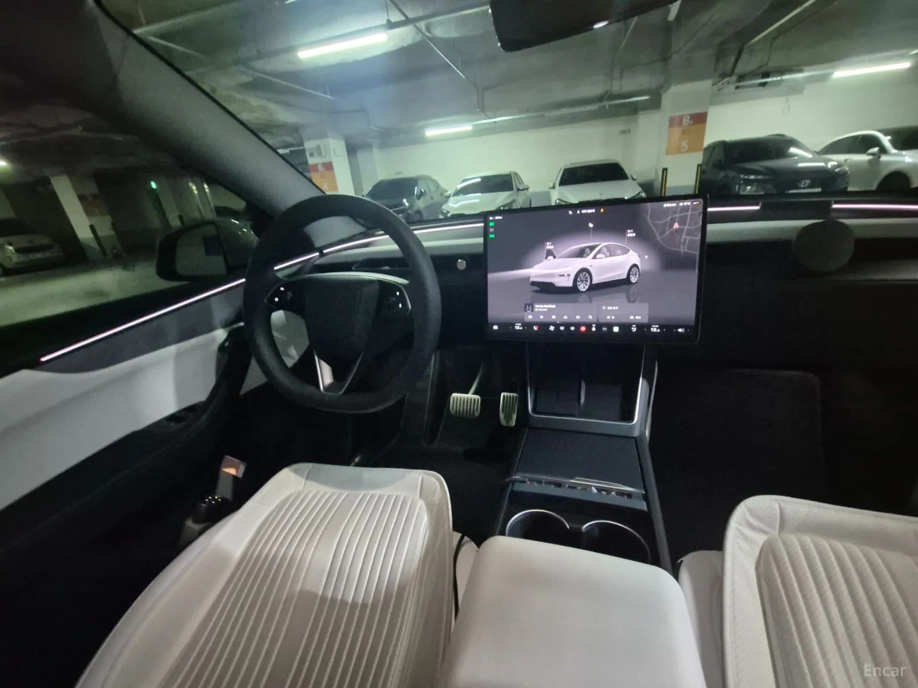 Model Y
