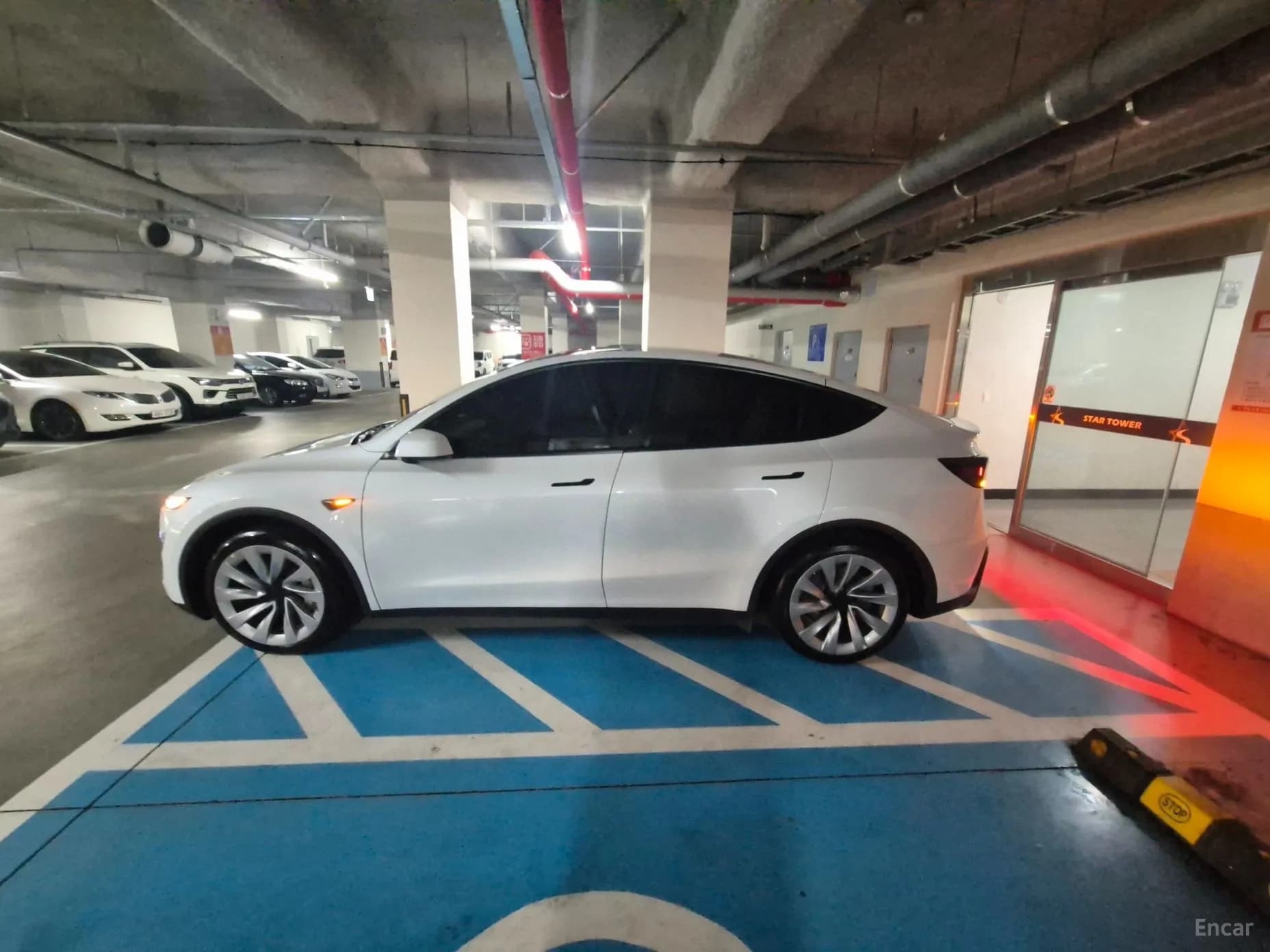 Model Y