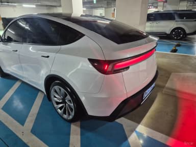 Model Y