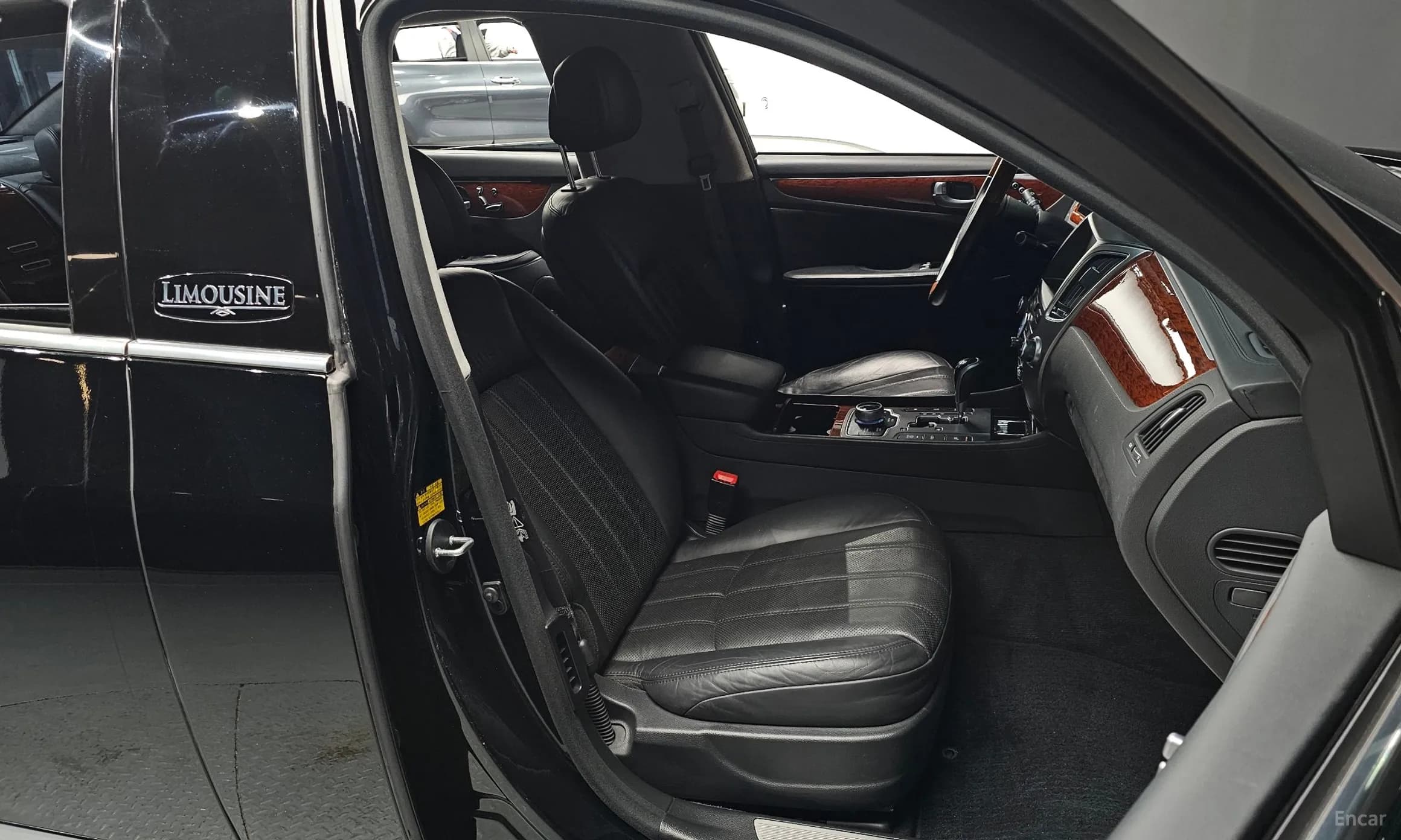 Equus (new)