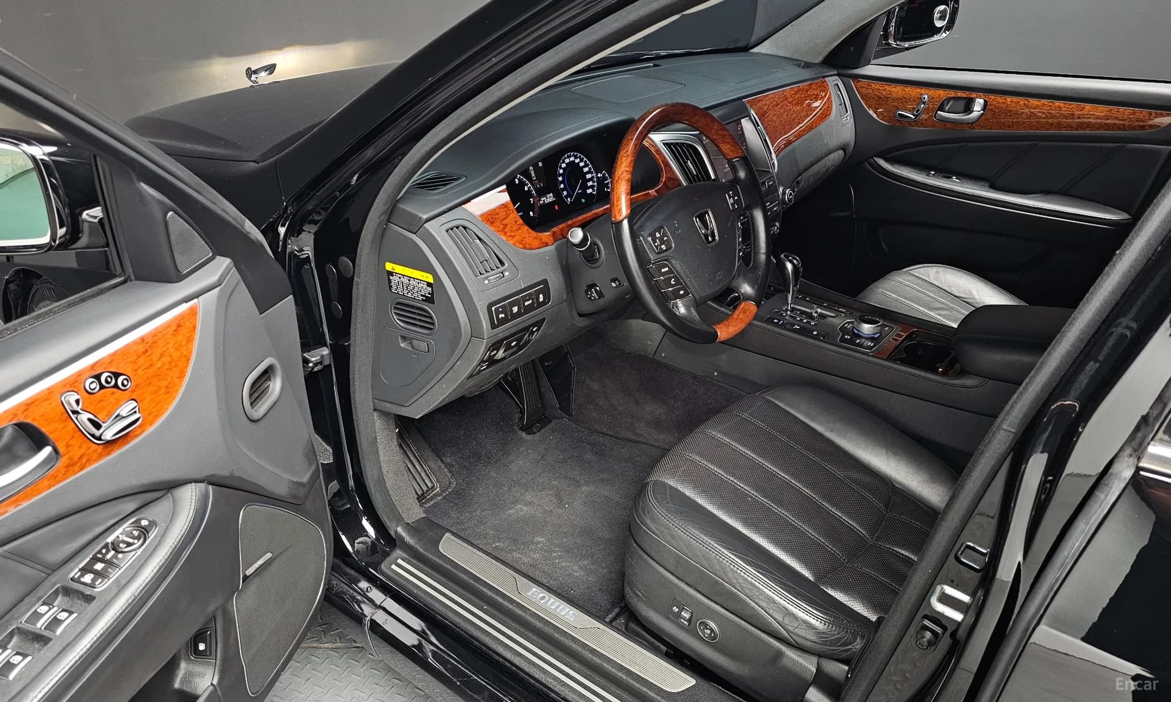 Equus (new)