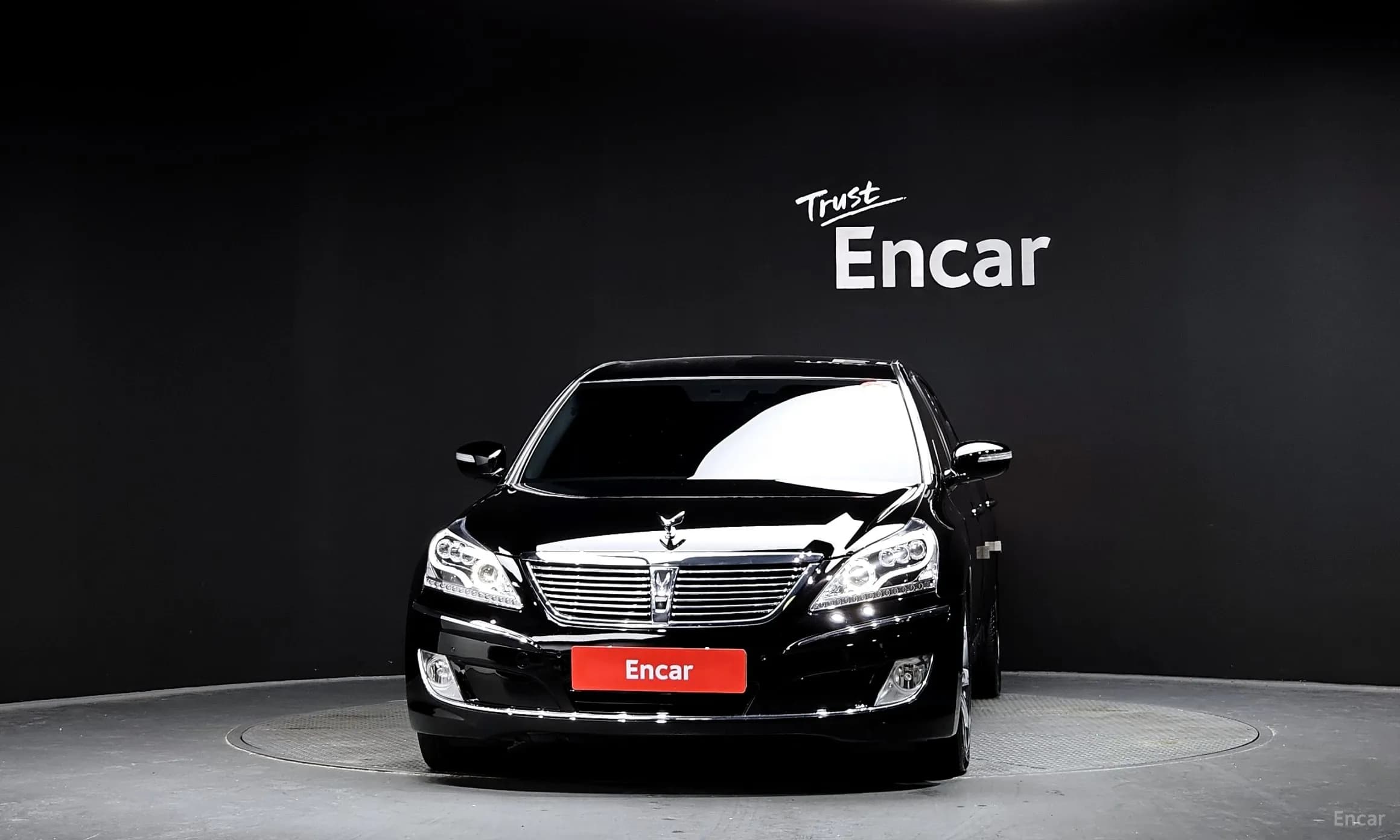 Equus (new)