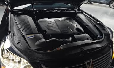 Equus (new)