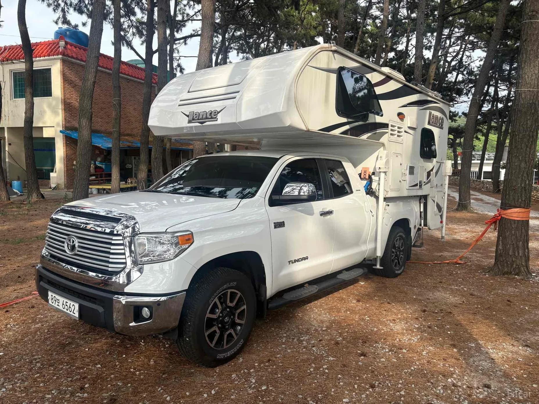 tundra