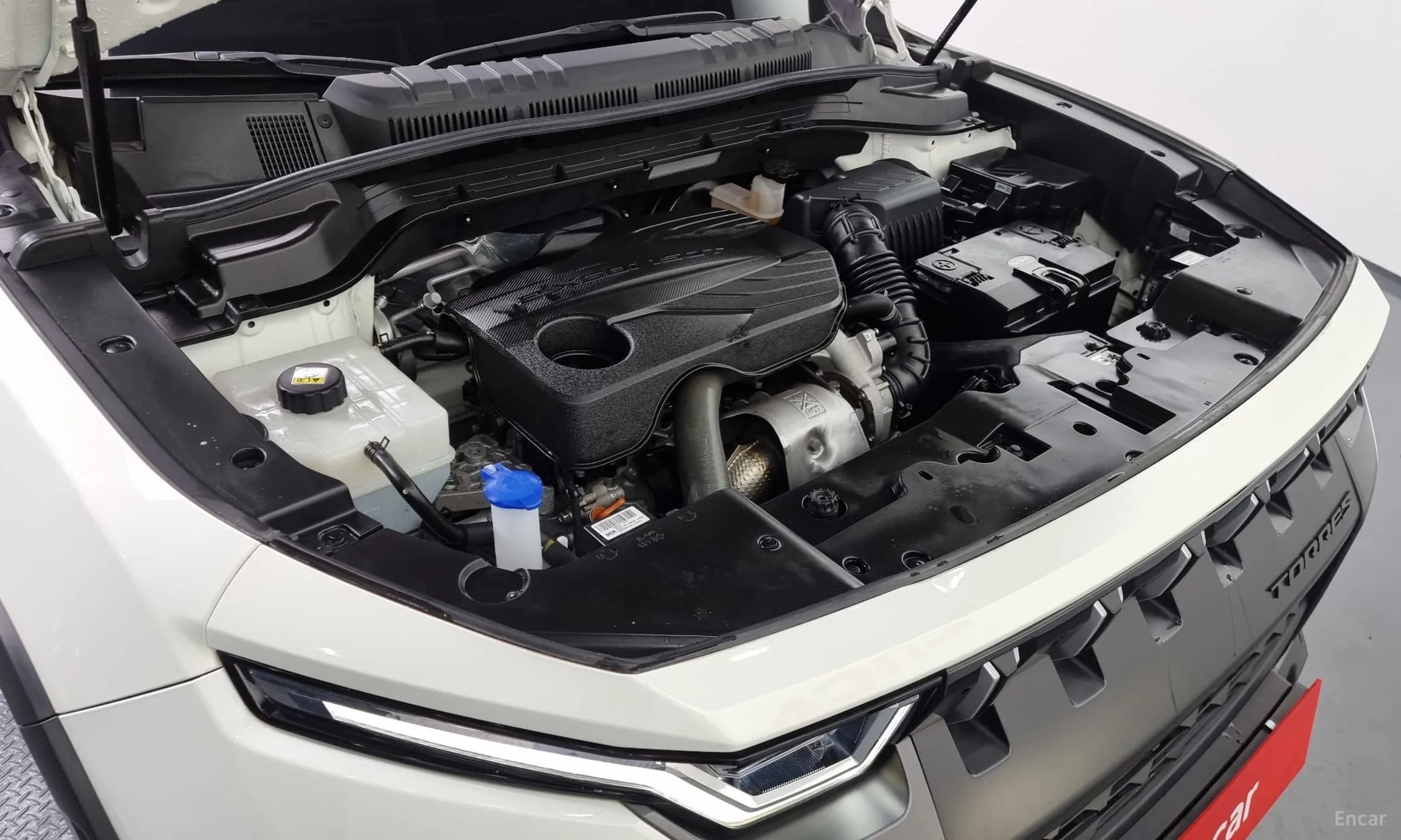 Torres