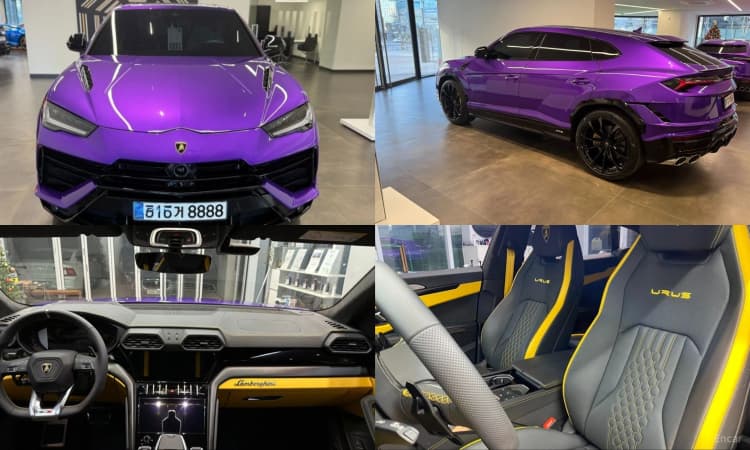 Urus