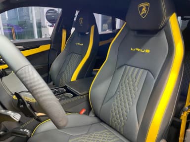 Urus
