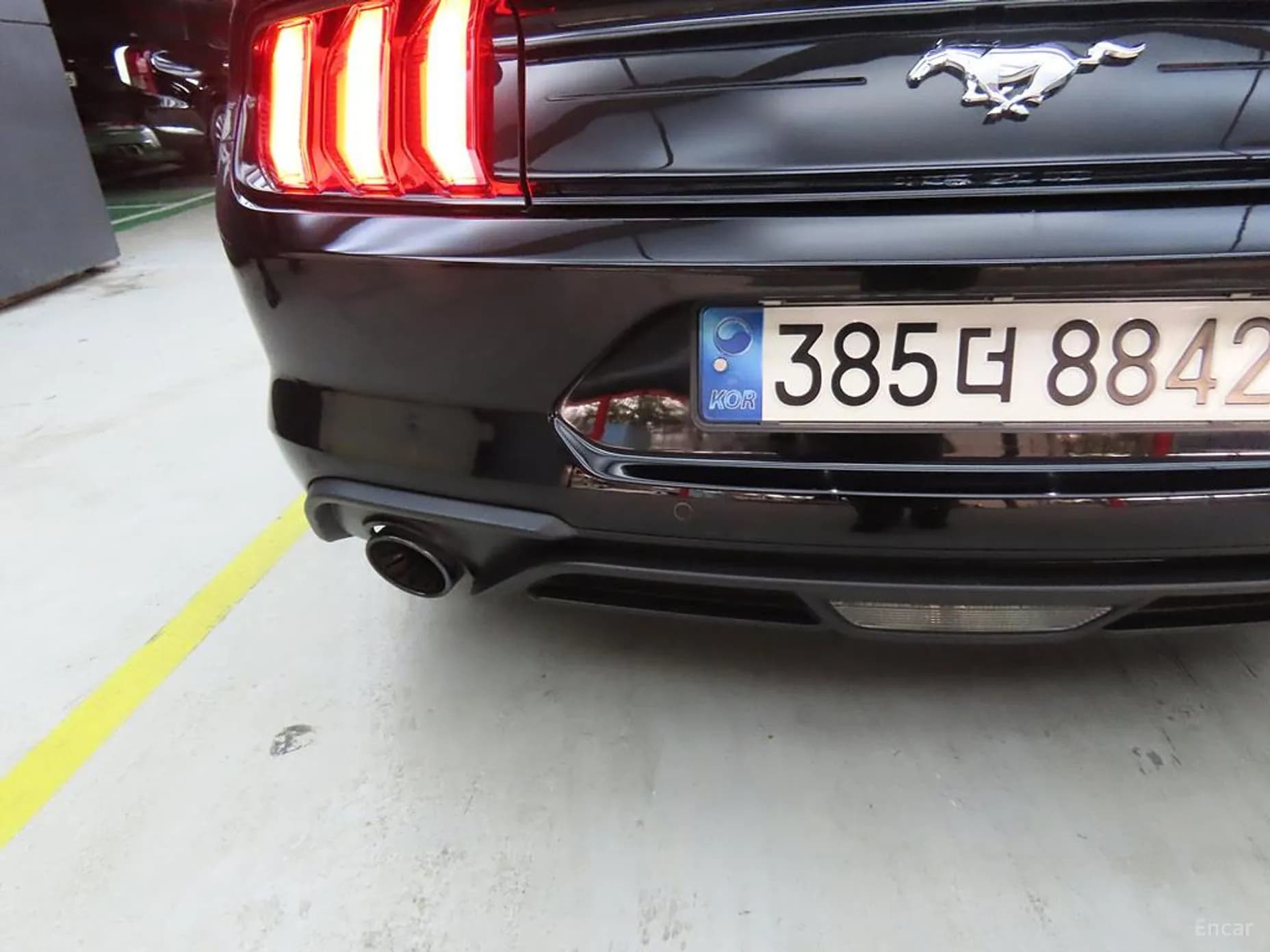 Mustang