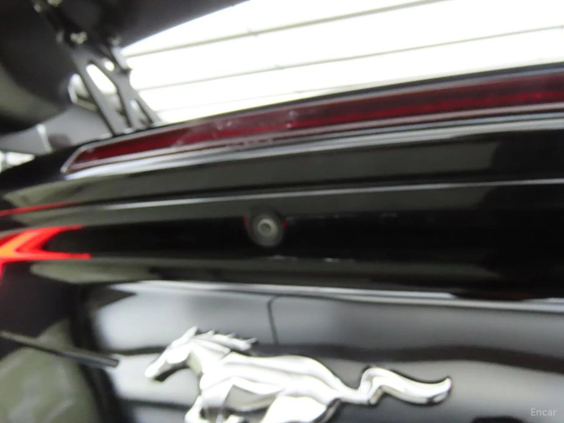 Mustang