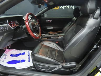 Mustang