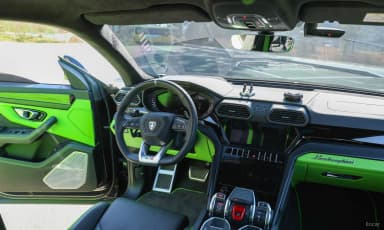 Urus