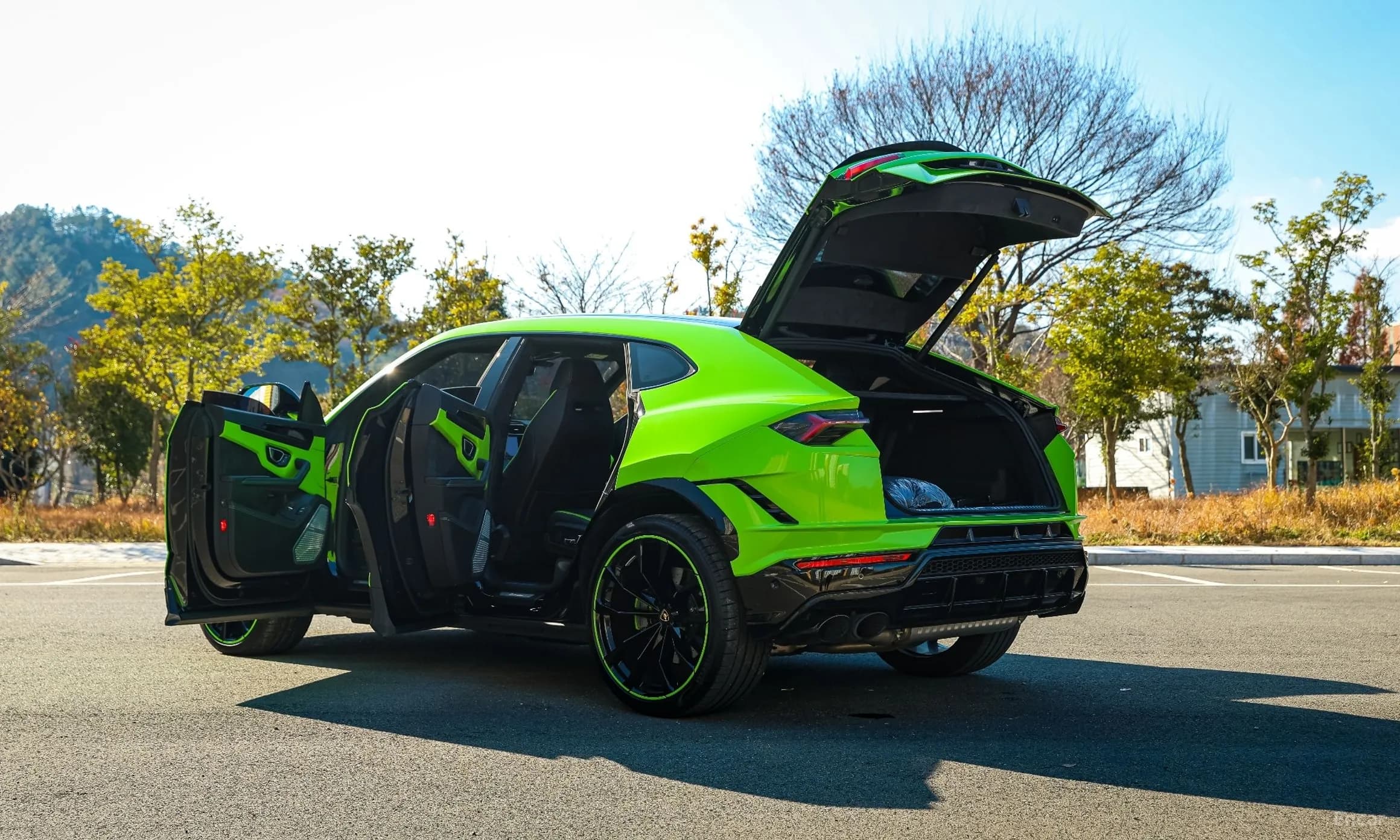 Urus