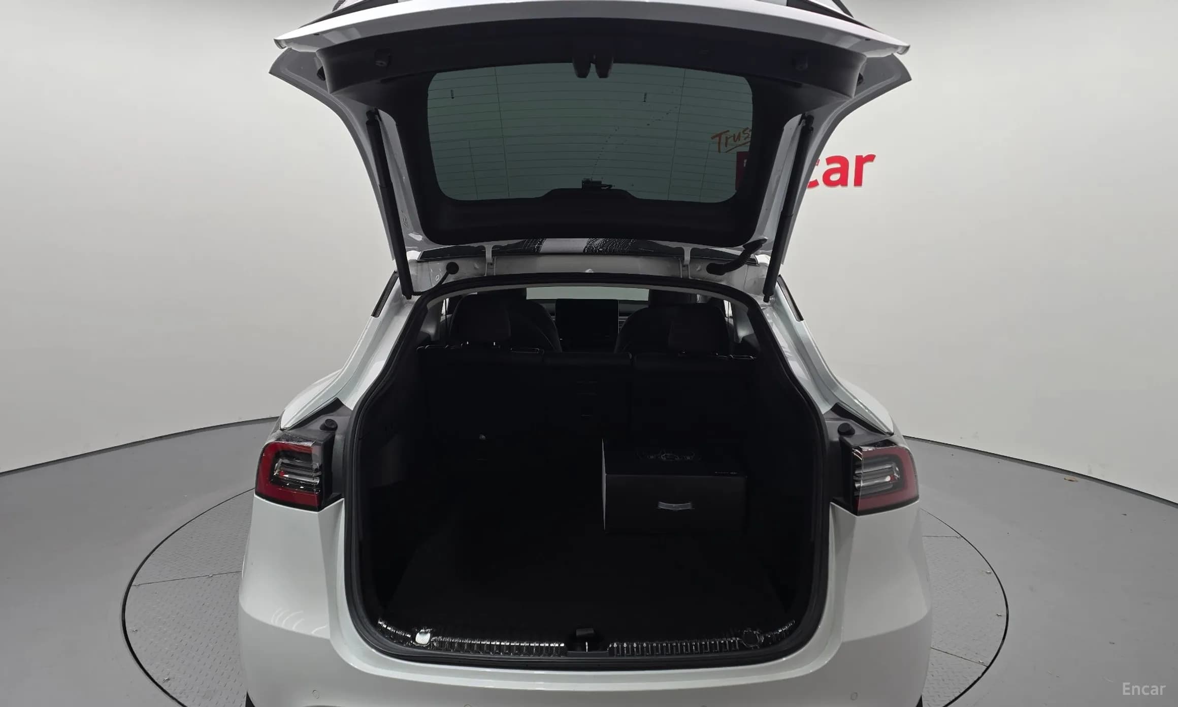 Model Y