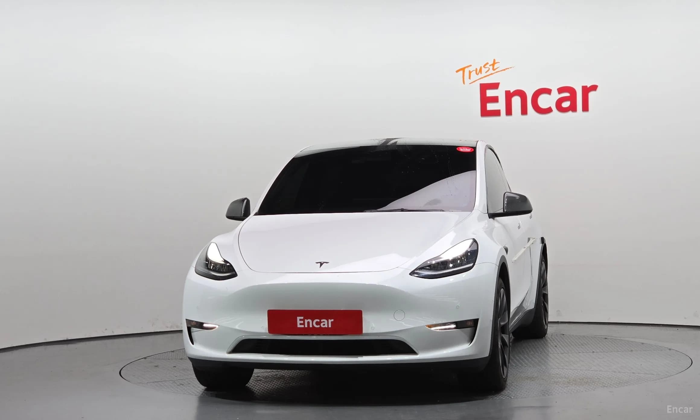 Model Y