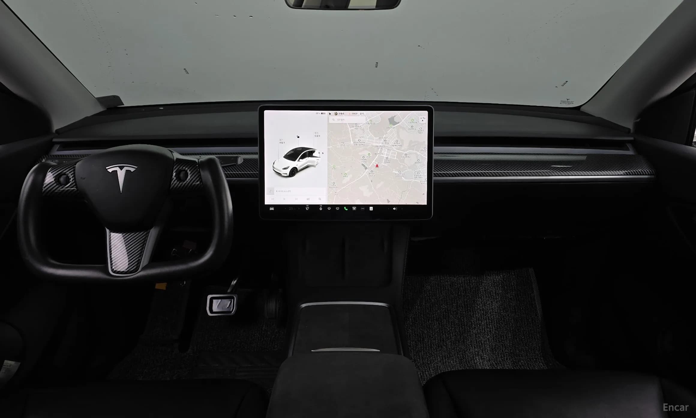 Model Y