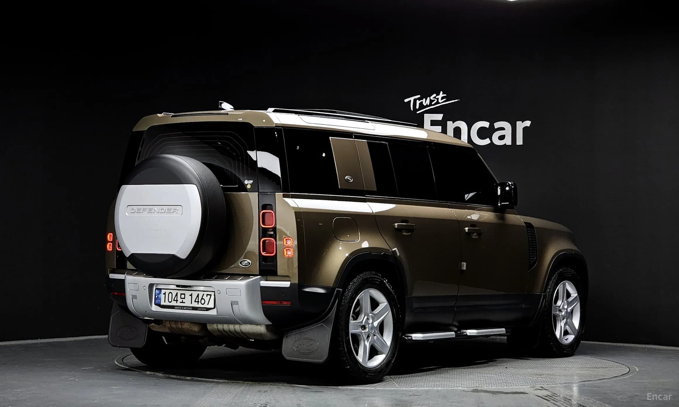 Defender (L663)