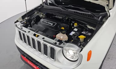 Renegade