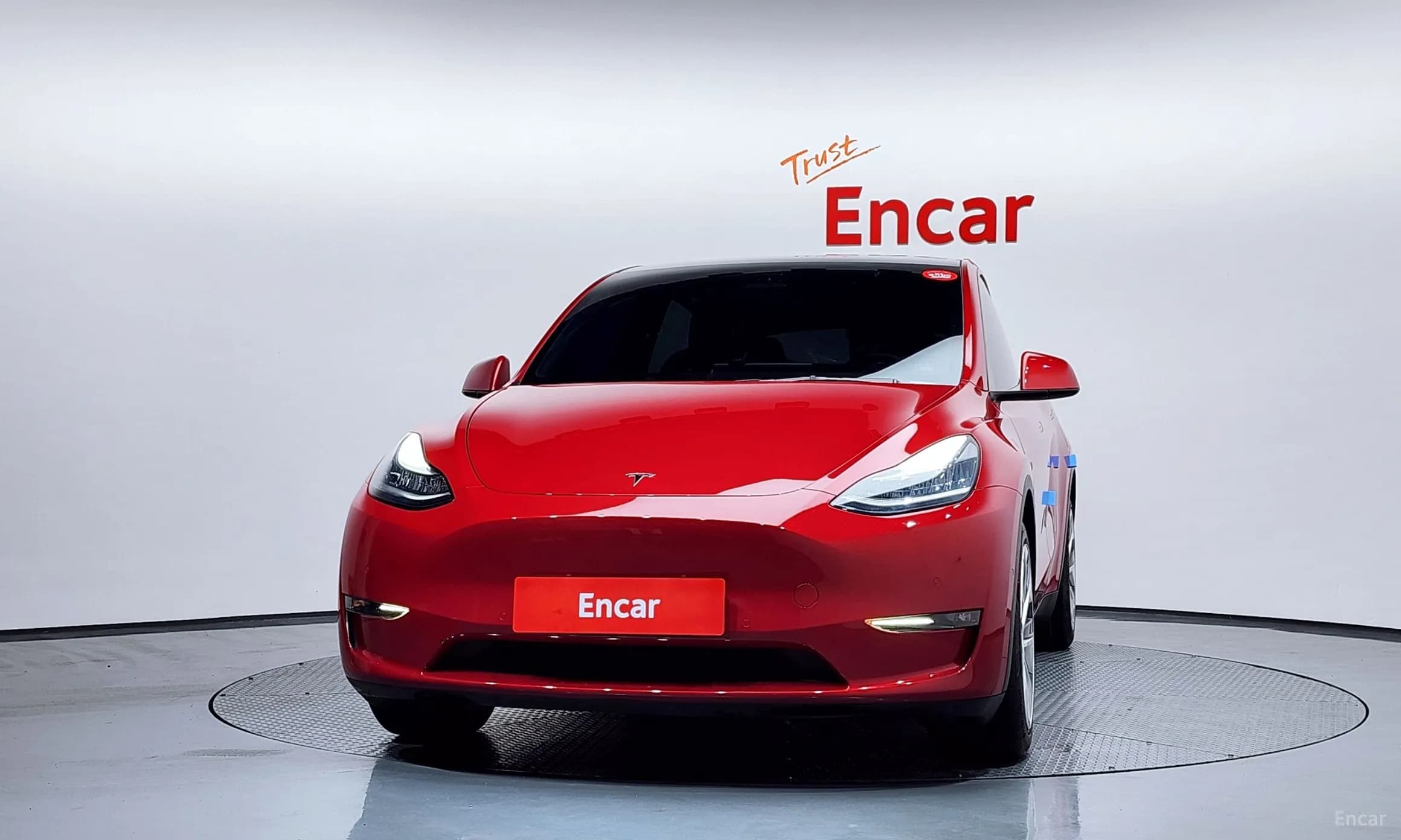 Model Y