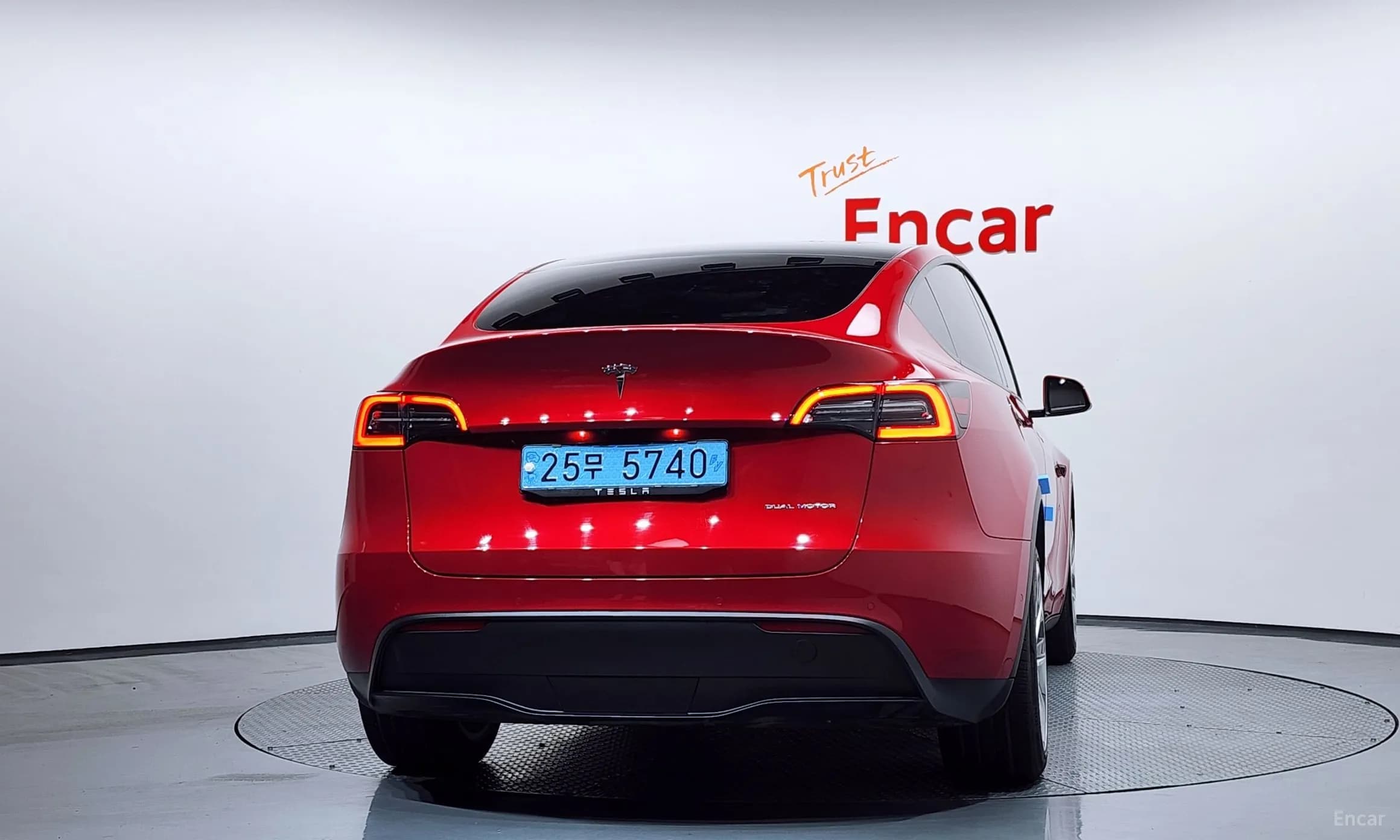 Model Y