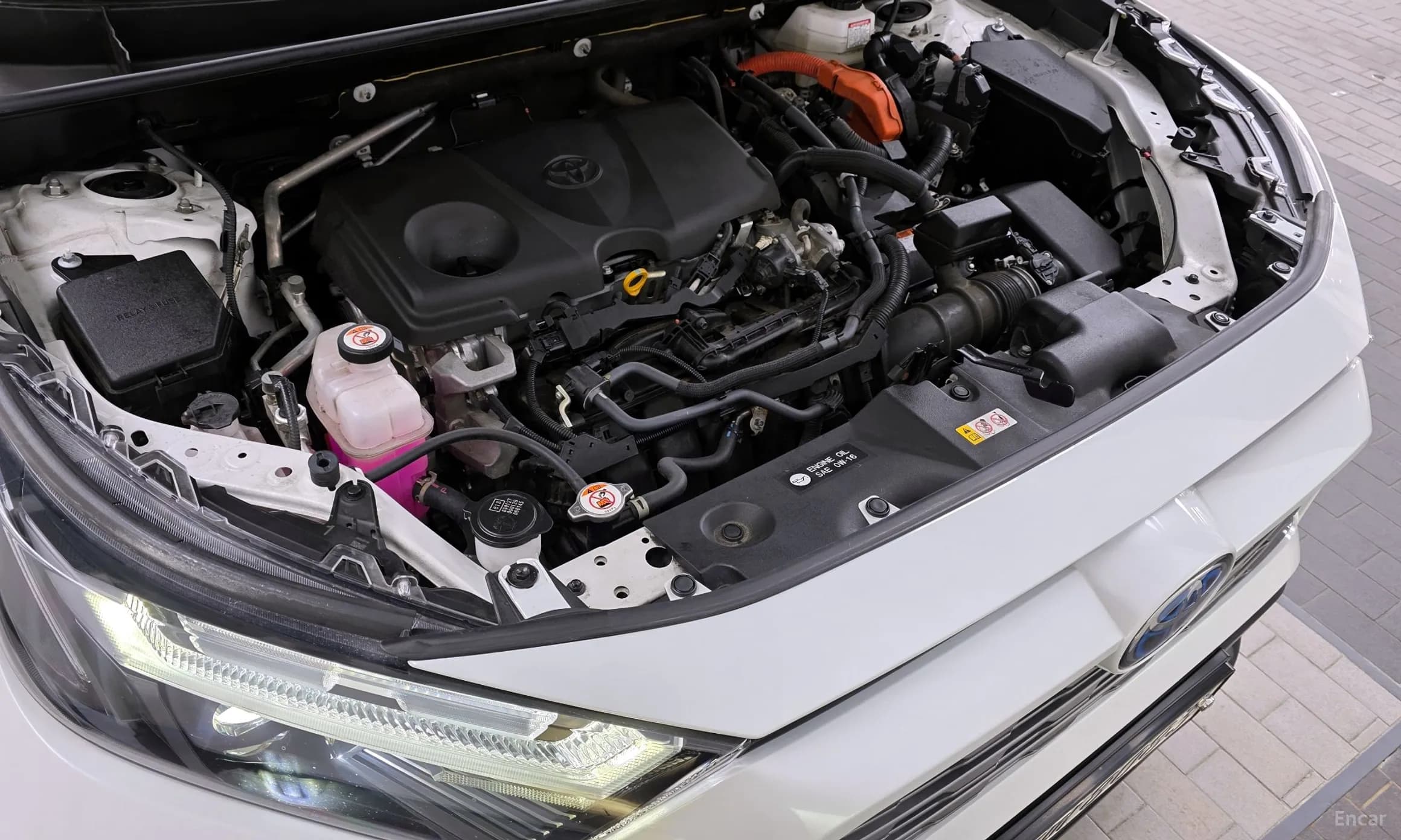 RAV4 5th Generation