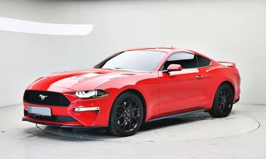 Mustang