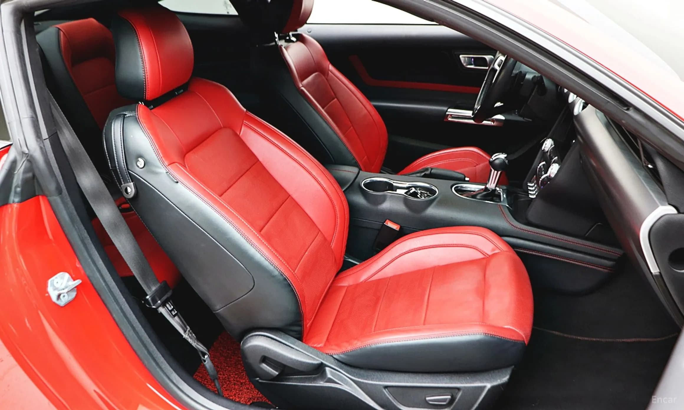 Mustang