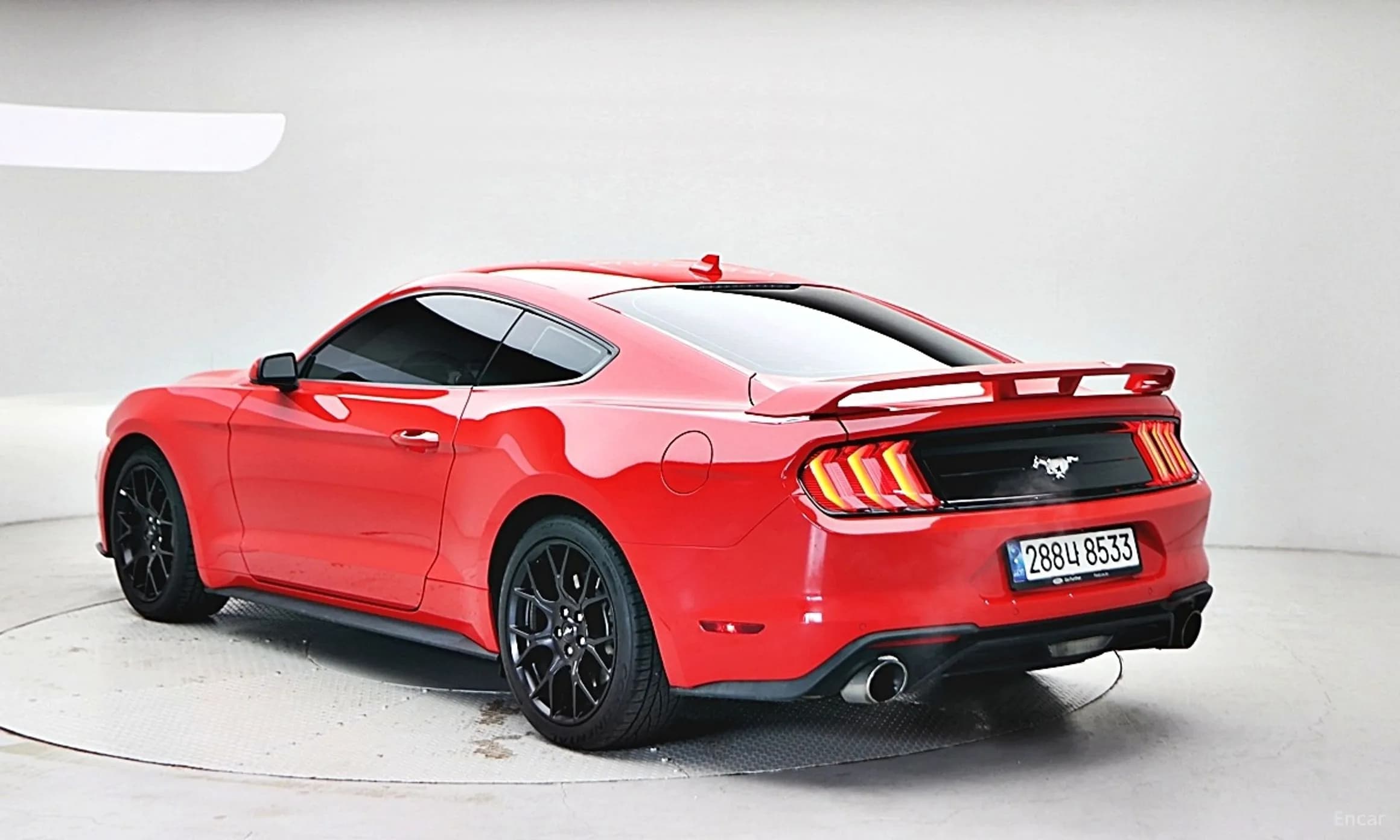 Mustang