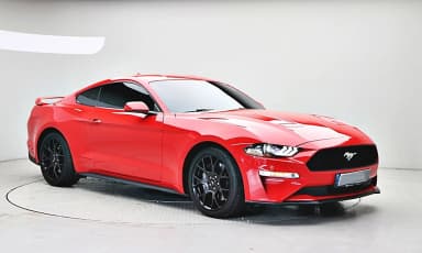 Mustang