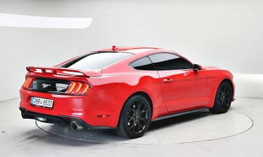 Mustang
