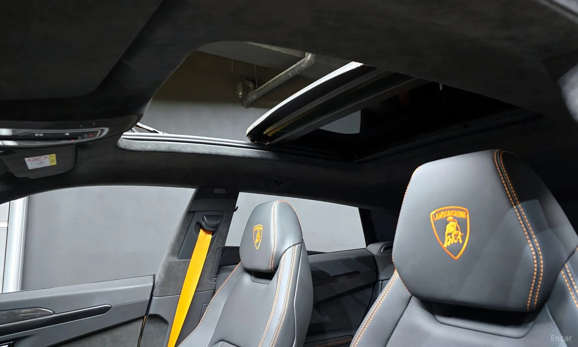 Urus