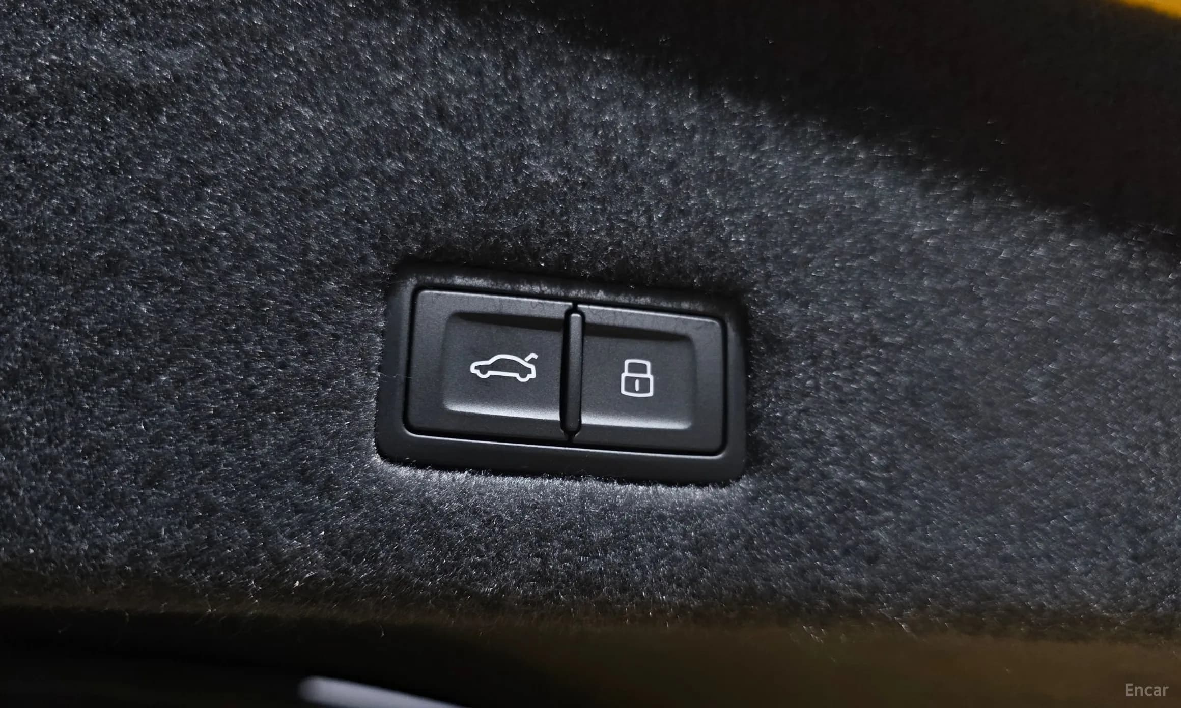 Urus