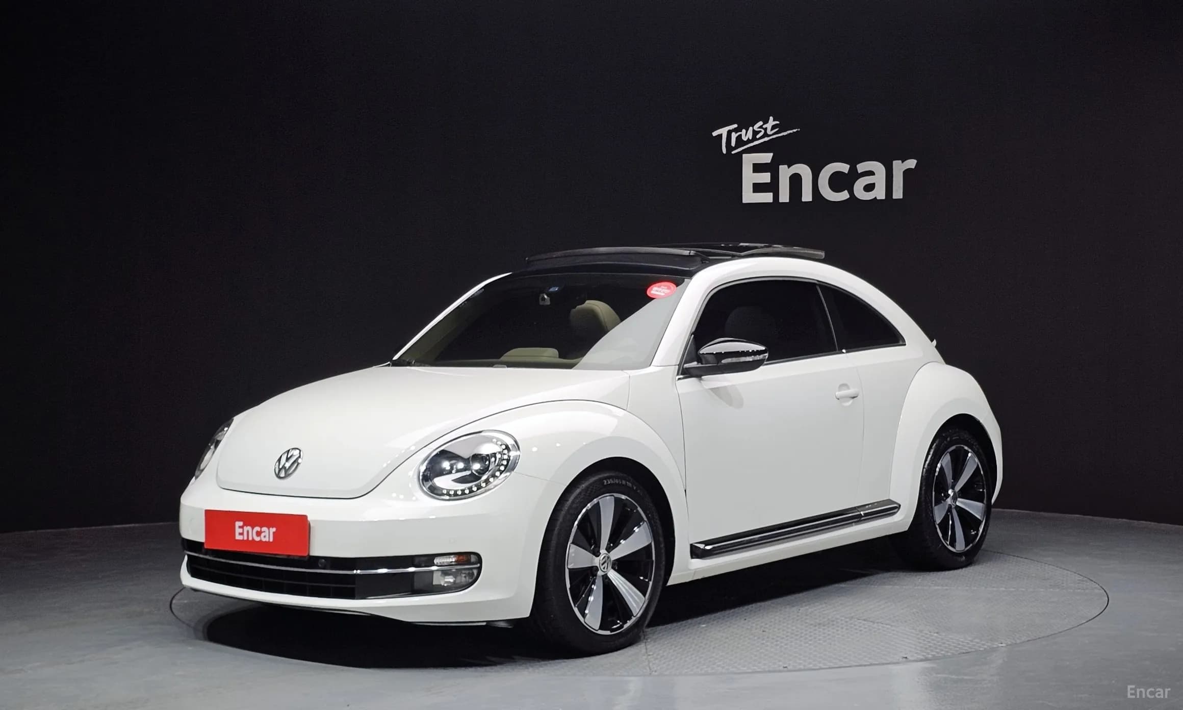 The Beetle
