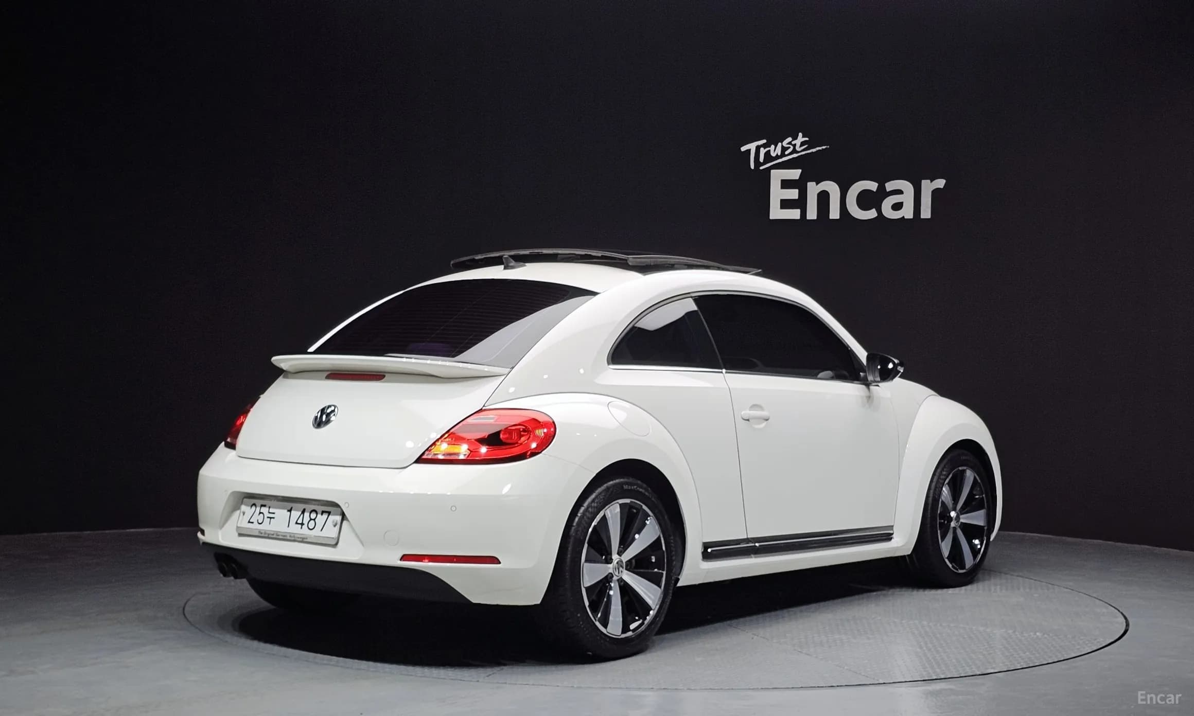 The Beetle
